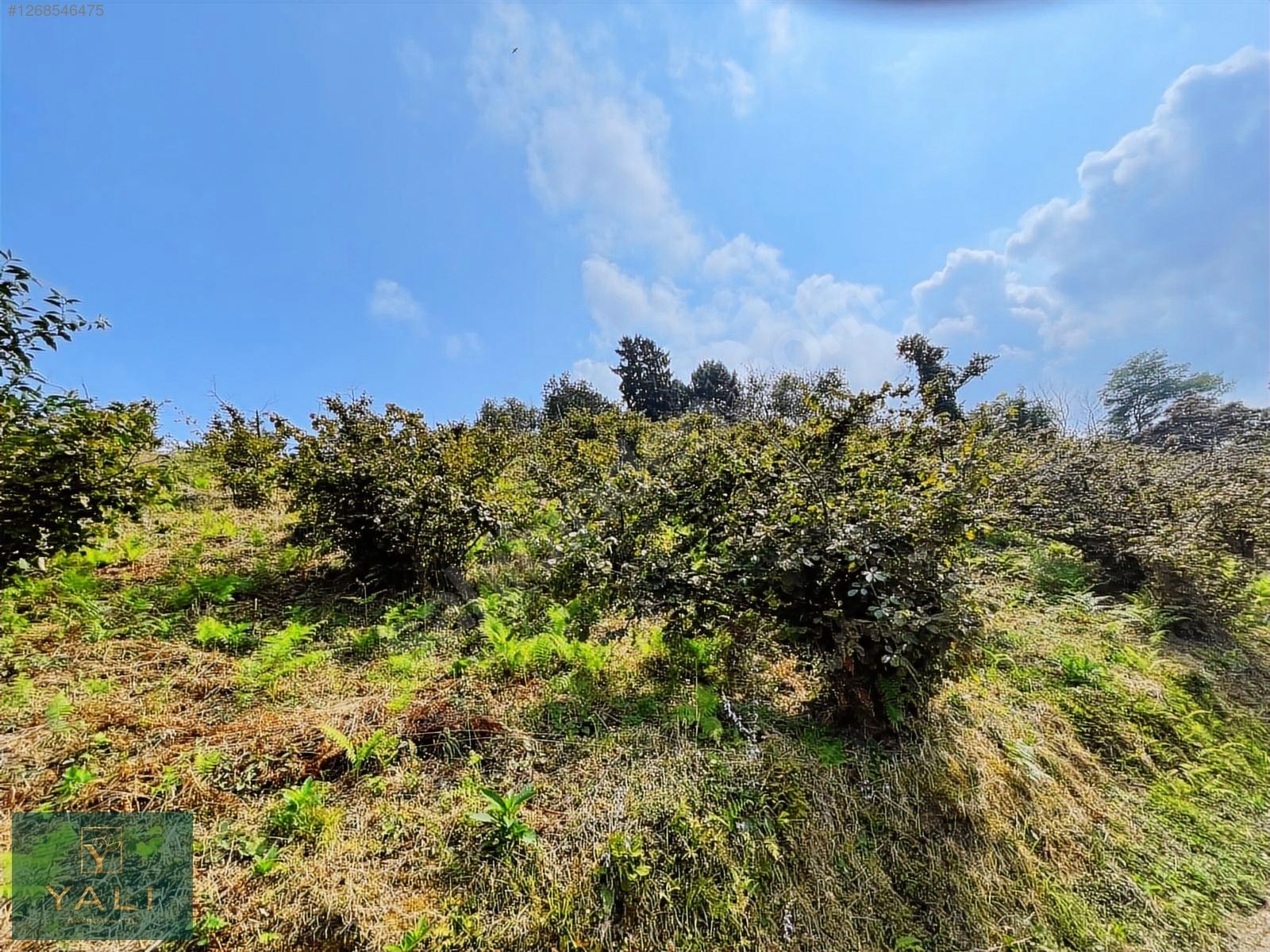 GİRESUN MERKEZ YALIKÖY MEVKİİ SATILIK ARAZİ - GİRESUN MERKEZ fotoğraf 43